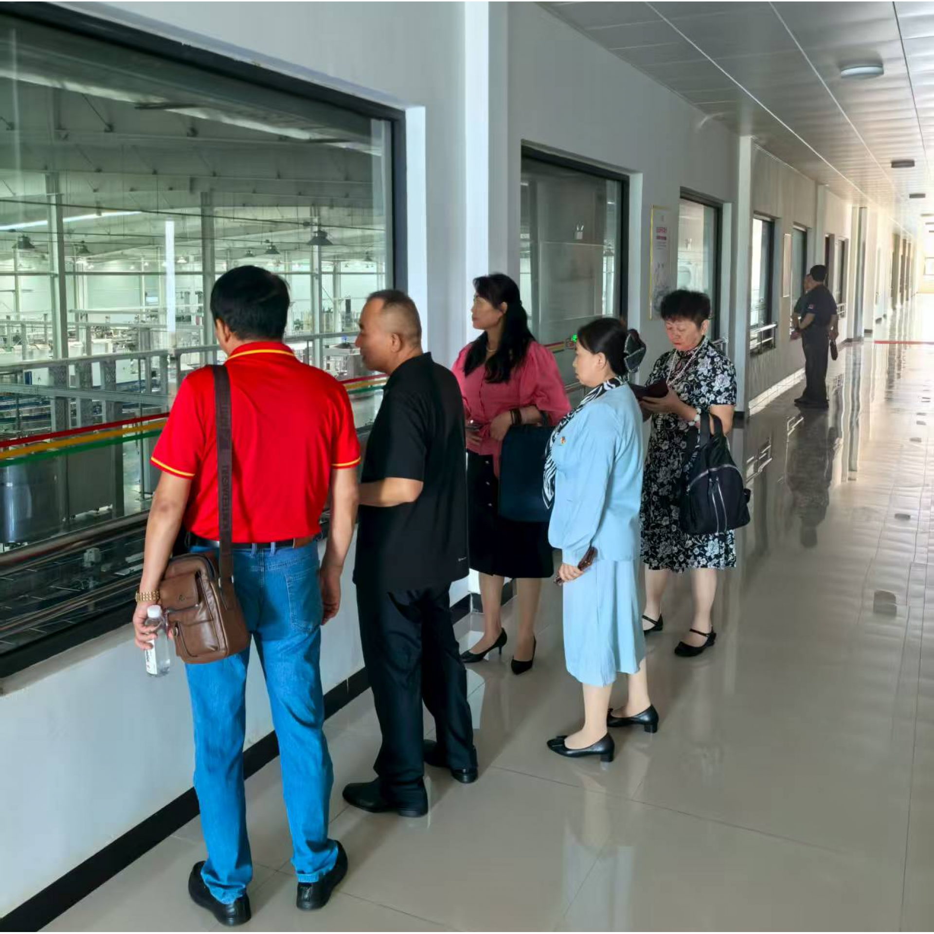 中国安全食品培优孵化系统工程办公室综合办公室赴河南开展共建食品安全发展 新生态调研